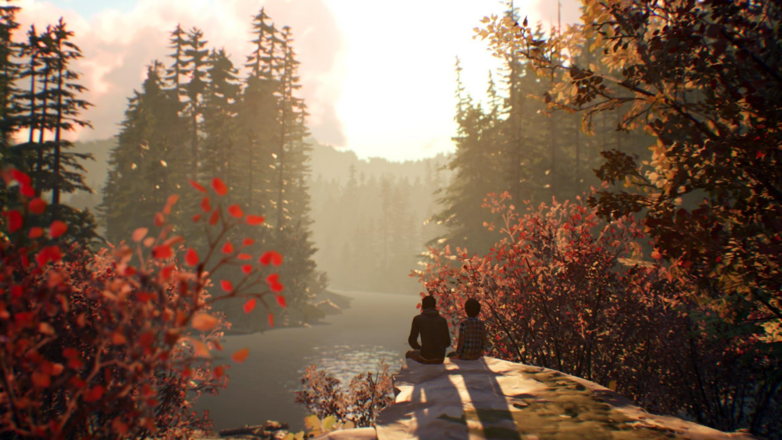 Life's fall. Life is Strange 2. Life is Strange 2 локации. Life is Strange 2 Dontnod Entertainment. Life is Strange 2 1 эпизод.